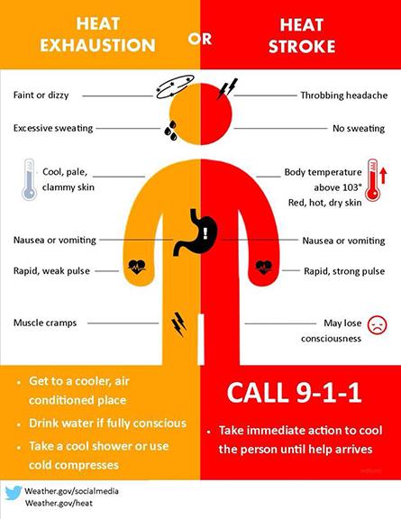 Signs of heat exhaustion or stroke comparison chart
