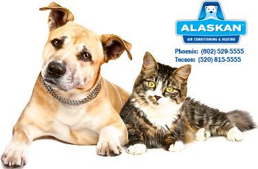 Dog Cat with Alaskan Air Conditioning and Heating logo and contact phone numbers in top right
